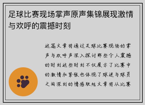 足球比赛现场掌声原声集锦展现激情与欢呼的震撼时刻