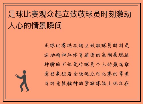 足球比赛观众起立致敬球员时刻激动人心的情景瞬间