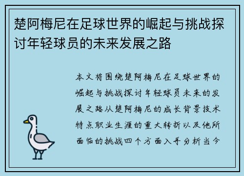楚阿梅尼在足球世界的崛起与挑战探讨年轻球员的未来发展之路